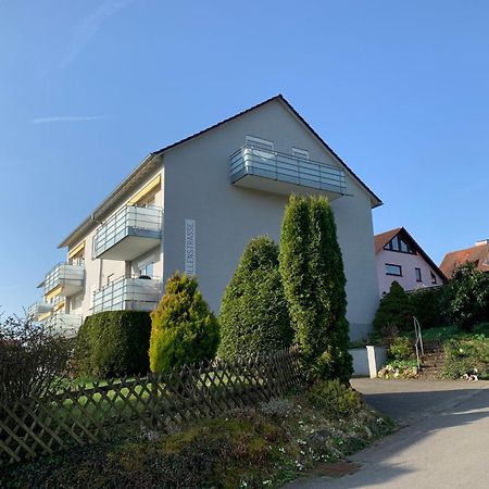 Micro-Apartment In Seenaehe Fusslaeufig Zum See:)) Ohningen Buitenkant foto