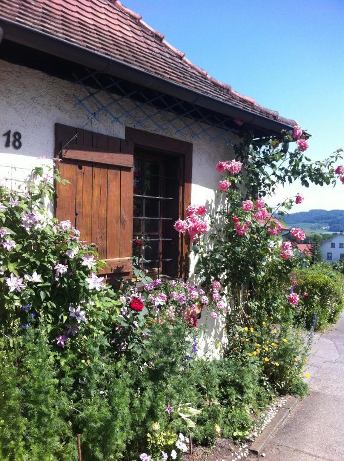 Micro-Apartment In Seenaehe Fusslaeufig Zum See:)) Ohningen Buitenkant foto